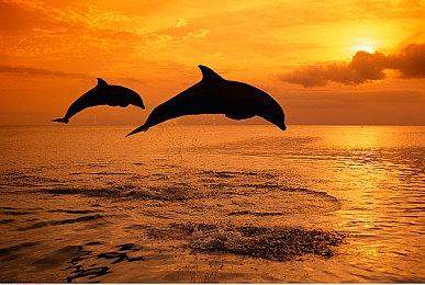 《漫威蜘蛛侠2》任务中出现男同情侣 大力支持LGBT？